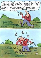 Zpěv ptáků